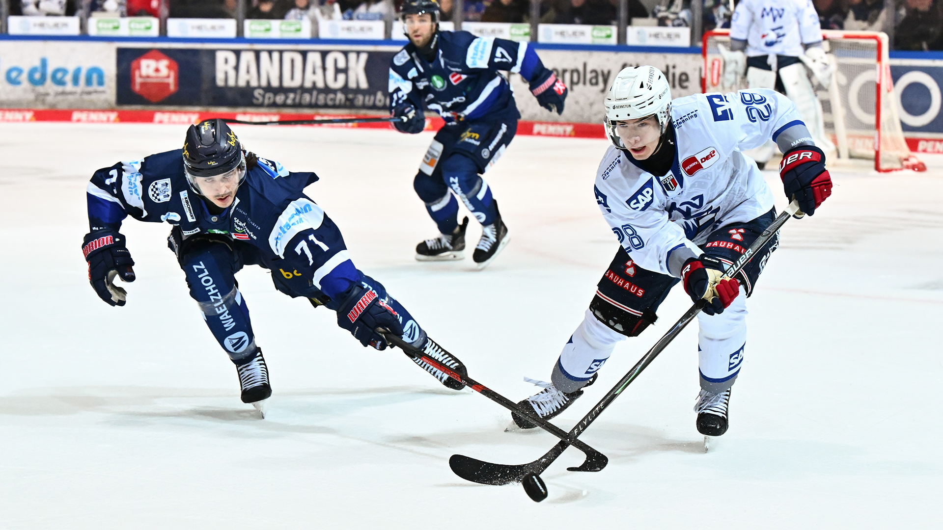 Iserlohn Roosters gg. Adler Mannheim